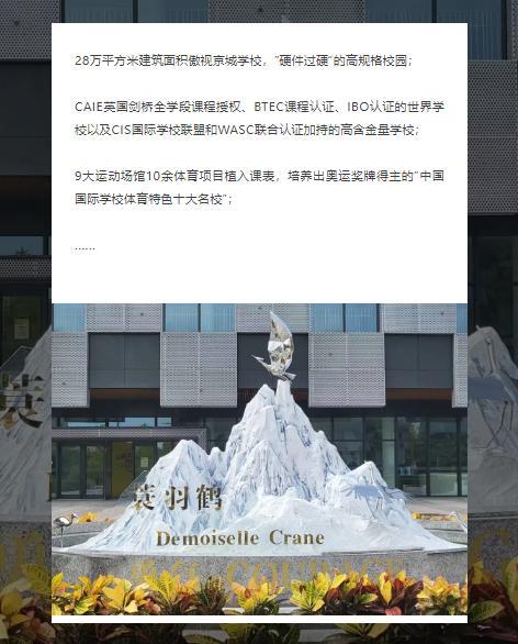 科技赋能教育朝阳凯文学校已经步入NEXT LEVEL(图1)